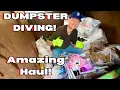 Download Lagu Dumpster Diving! Home Decor, Hygiene Products, \u0026 So Much More!