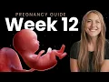 Download Lagu 12 Weeks Pregnant | Week By Week Pregnancy