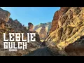 AMAZING LESLIE GULCH and SUCCOR CREEK Oregon
