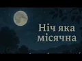 Ніч яка місячна (Folktronica) | Ukrainian Ethno-Folk