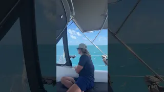 Come sailing with us! #shorts #sailing