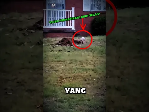 Lubang Misterius di Halaman Belakang 😨 #scary #shorts #hantu