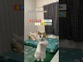DJ TERBAYANG BAYANG KAMU KUCING JOGET #djterbayangbayangkamu #djsumpahjanjipadamu
