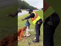 Why Firefighters Open Hydrants