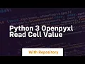 Python 3 openpyxl read cell value