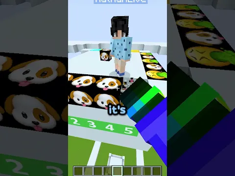 I made Nathan guess a Circle Of Blocks!