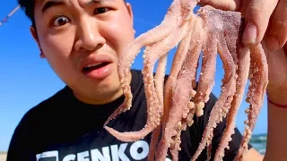 Crazy Looking Beach Fishing Bait SALTED TENTACLES