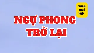 [Full] NGỰ PHONG TRỞ LẠI | xuan mai 369