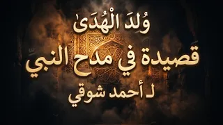 أجمل ما قيل في النبي ﷺ   ولد الهدى لأحمد شوقي دندنها