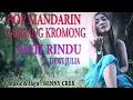 Lagu POP MANDARIN TERBARU _ HATI RINDU _ DEWI JULIA _ VIDEO KLIP