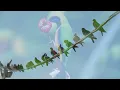 Birds Singing - 24 Hour Bird Sounds Relaxation, Stress Relief, Relaxing Birds Sounds
