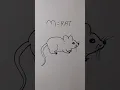 how to draw rat easy for beginner