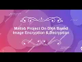 Image Encryption and Decryption Using DNA Algorithm With Source Code DNA Image Encryption