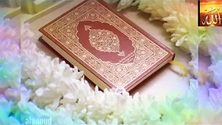      نشيد  خفق الفؤاد      دندنها