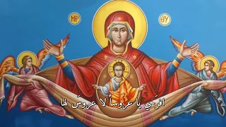 عذراء يا ام الاله دندنها