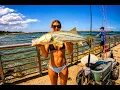 Fishing The Sebastian Inlet With LIVE Bait