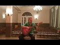 David Qualey - Homfeld suite #guitar #acousticguitar #fingerstyle #classicalguitar