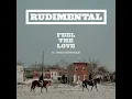 Feel the Love (feat. John Newman) - Rudimental