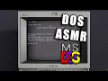 ASMR Programming - DOS