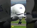 Download Lagu Awesome Beluga Take Off! ✈️