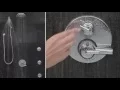 Delta Faucet Integrated Shower Diverter Valve Trim