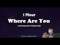 Download Lagu Lost Frequencies ft Calum Scott - Where Are You Now (1 Hour)