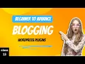What are WordPress Plugins class 13