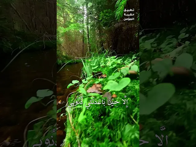 ⁣دعاء الصباح 