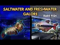 Massive Aquatic Warehouse Tour Finest Aquatics