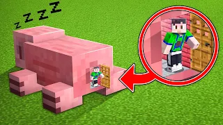 Minecraft But I Can Go INSIDE Any Mob..!
