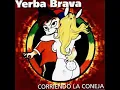 Download Lagu Yerba brava - corriendo la coneja (mix dj tgr)