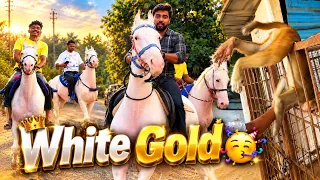 Never Seen So Much White Gold Together! 😱