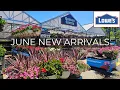 NEW Plants at Lowe s Garden Center June 2026