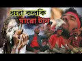 Download Lagu Dhoro kolki maro tan | ধরো কলকি মারো টান | Mollah bhai | Bangla song | Desi boys
