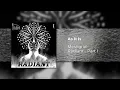 Meshgrid - As It Is Demo