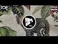 Download Lagu Top 10 Drops: JUNGLE TERROR 🌴 (July 2024)