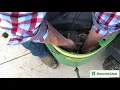 Quick Tip Throttle Choke Linkage Adjustment