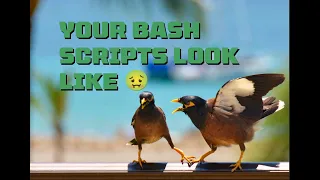 Write Better Bash Scripts Use ShellCheck and shfmt