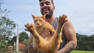 ESSE GATO INVADIU NOSSA CASA!