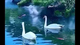 دعاء مميز صدق الله العظيم الذي خلق الكون فأتقنه  دعاء مميز صدق الله العظيم الذي خلق الكون فأتقنه