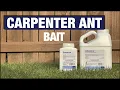 Advance Carpenter Ant Bait