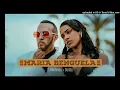 Lagu Dj Malvado ｜ Maria Benguela ft. Doddy ｜ Official Music Video