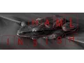 Download Lagu HAML in 5 minutes(ish)