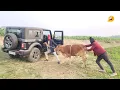 Download Lagu High Quality Chor😜| Nonstop comedy🤣😂video Totally Amazing Funny Story #comedy #BindasFunJoke