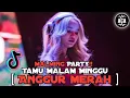 Download Lagu MALMING PARTY!! DJ TAMU MALAM MINGGU x ANGGUR MERAH JUNGLEDUTCH FULL BASS 2021 [ ACA ]