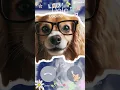 Download Lagu Ringtones #dogs #doglover