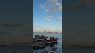 ع الشط أستني رايحه فين خالد الصيفي محمد منير شمندوره الكينج حالات واتس رومانسي 