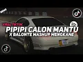 Download Lagu DJ PIPIPI CALON MANTU X BALONTE MASHUP ENAFF VIRAL TIKTOK 2024