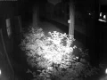 7 31 2016 2 31 51 AM UTC 07 00