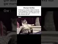 Kadang Suka Mikir #cat #funny #kucingmeme